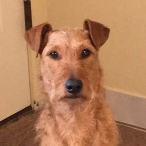 Meet your Posher, Gina